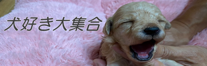 犬好き大集合